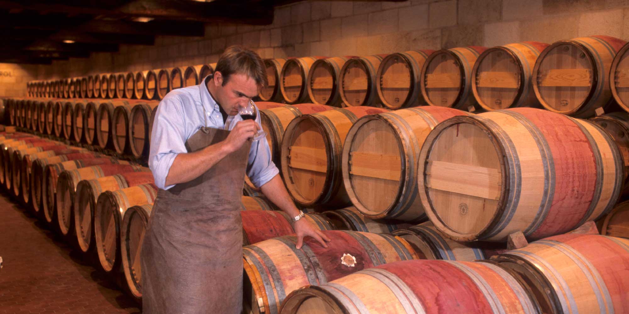 Wine importers cheap